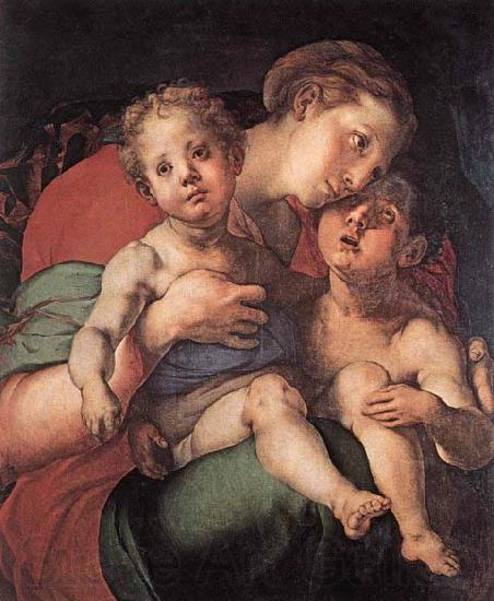Jacopo Pontormo Madonna and Child with the Young St John Spain oil painting art